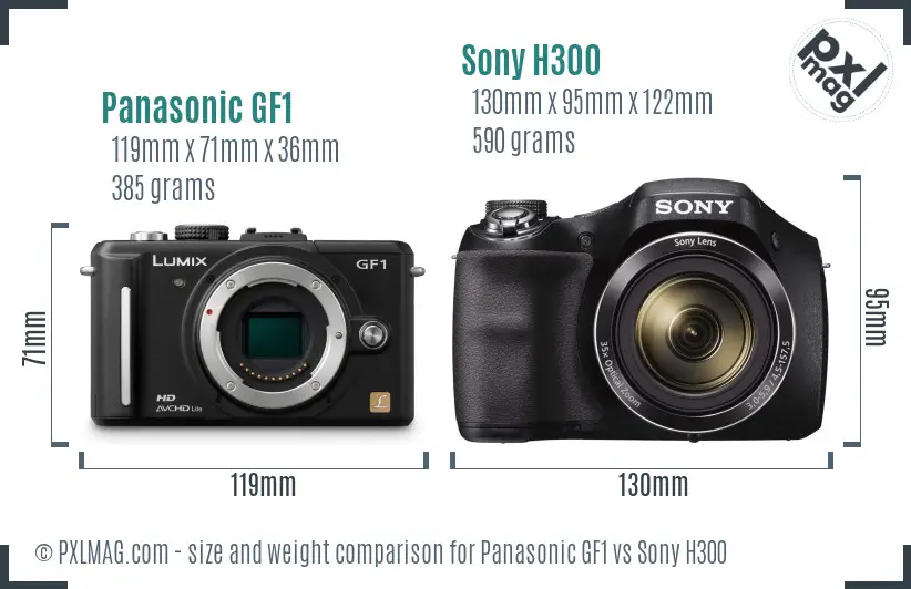 Panasonic GF1 vs Sony H300 size comparison