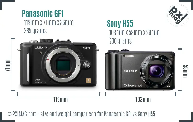 Panasonic GF1 vs Sony H55 size comparison