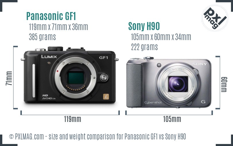Panasonic GF1 vs Sony H90 size comparison