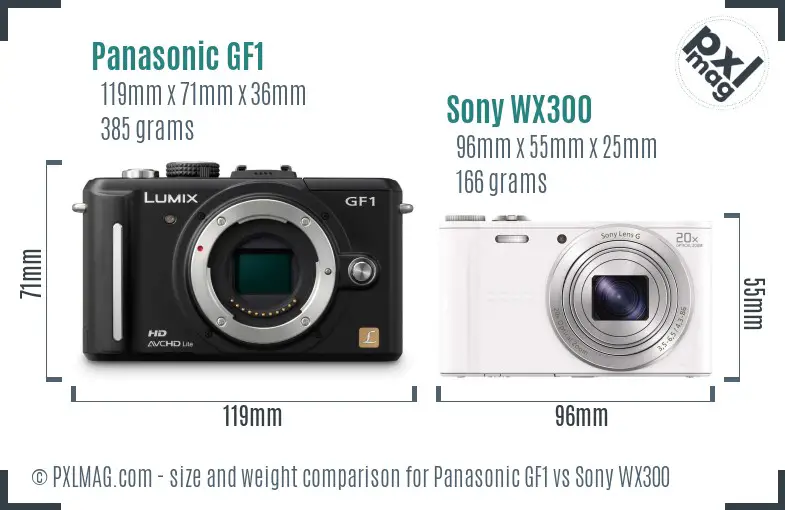 Panasonic GF1 vs Sony WX300 size comparison