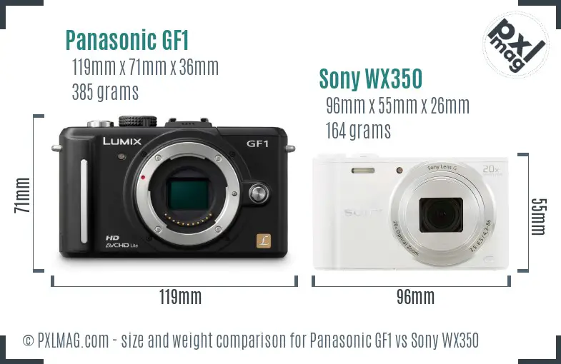 Panasonic GF1 vs Sony WX350 size comparison