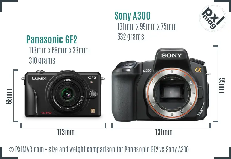 Panasonic GF2 vs Sony A300 size comparison