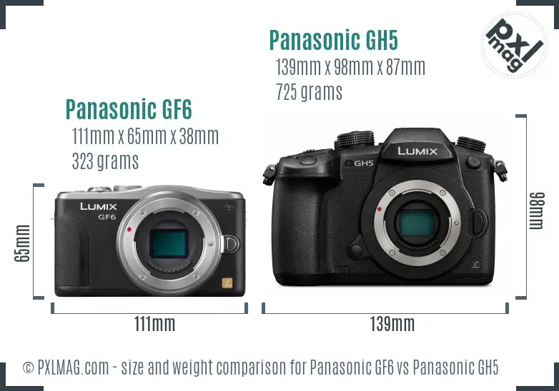 Panasonic GF6 vs Panasonic GH5 size comparison