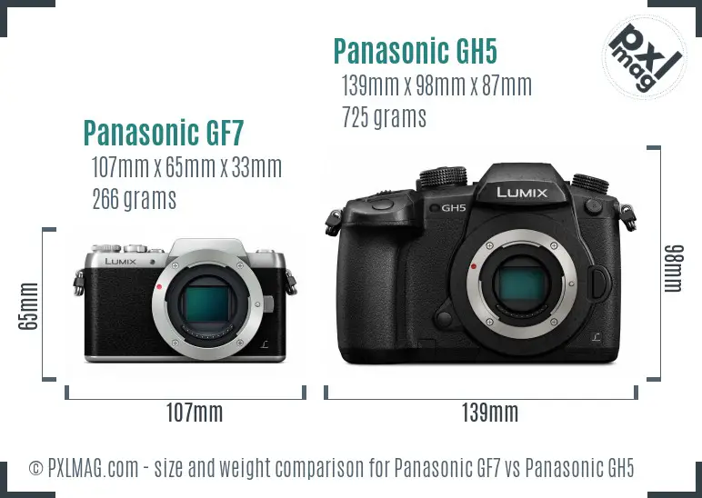 Panasonic GF7 vs Panasonic GH5 size comparison