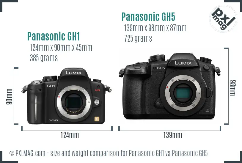 Panasonic GH1 vs Panasonic GH5 size comparison