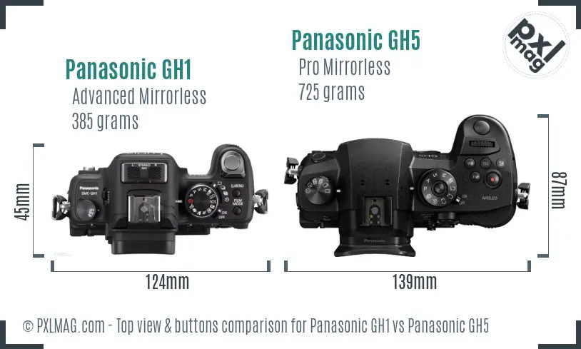 Panasonic GH1 vs Panasonic GH5 top view buttons comparison