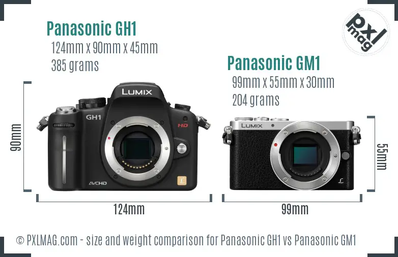 Panasonic GH1 vs Panasonic GM1 size comparison