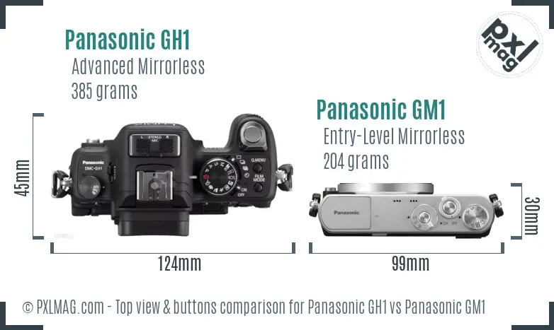 Panasonic GH1 vs Panasonic GM1 top view buttons comparison