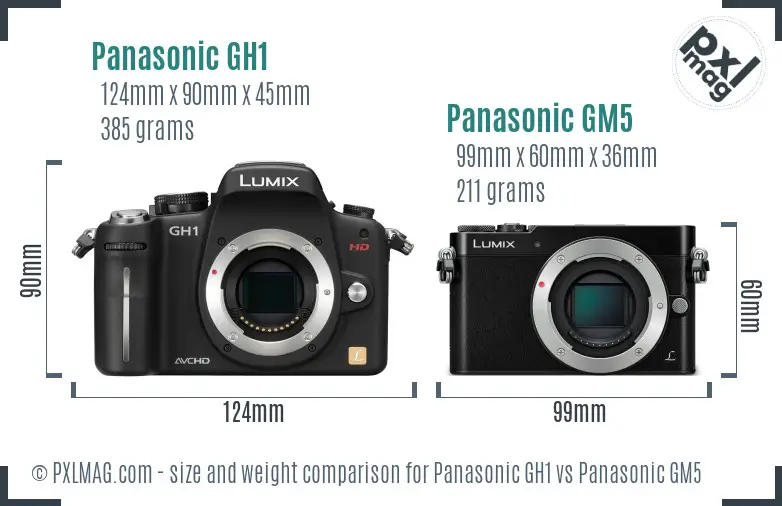 Panasonic GH1 vs Panasonic GM5 size comparison