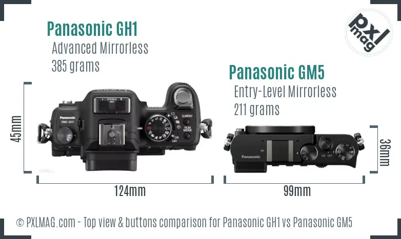 Panasonic GH1 vs Panasonic GM5 top view buttons comparison