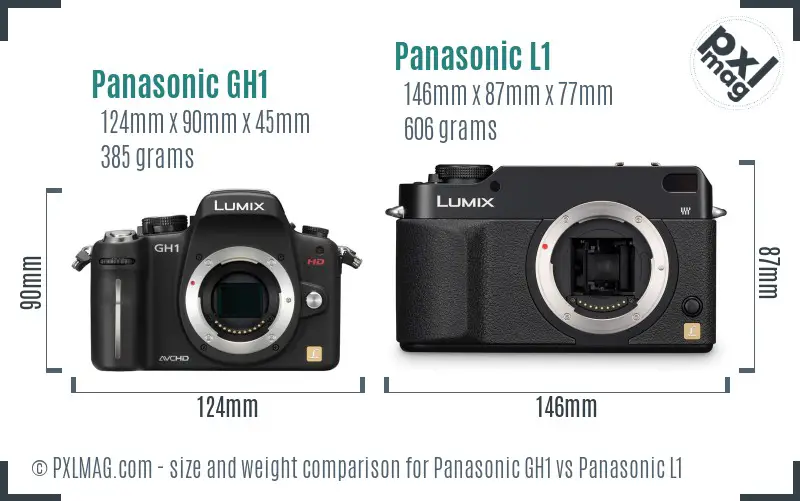 Panasonic GH1 vs Panasonic L1 size comparison