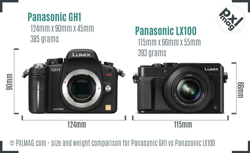Panasonic GH1 vs Panasonic LX100 size comparison