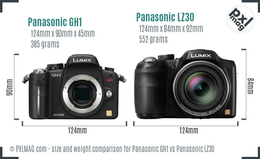 Panasonic GH1 vs Panasonic LZ30 size comparison