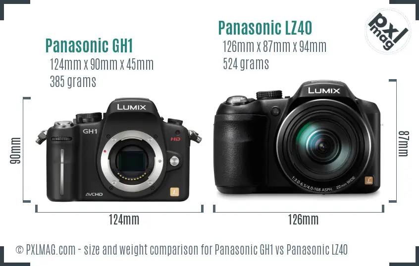 Panasonic GH1 vs Panasonic LZ40 size comparison