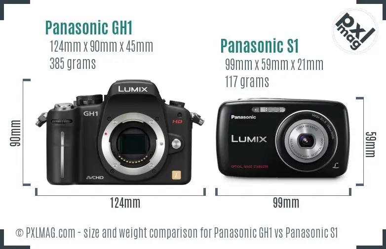Panasonic GH1 vs Panasonic S1 size comparison
