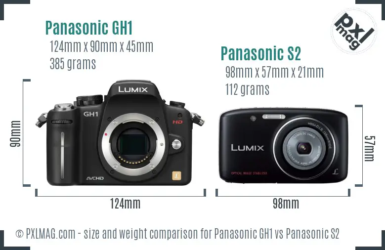 Panasonic GH1 vs Panasonic S2 size comparison