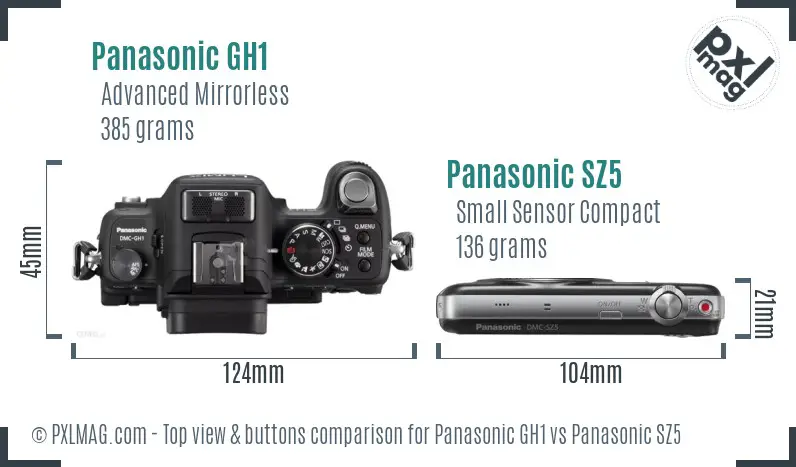 Panasonic GH1 vs Panasonic SZ5 top view buttons comparison