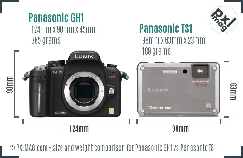 Panasonic GH1 vs Panasonic TS1 size comparison