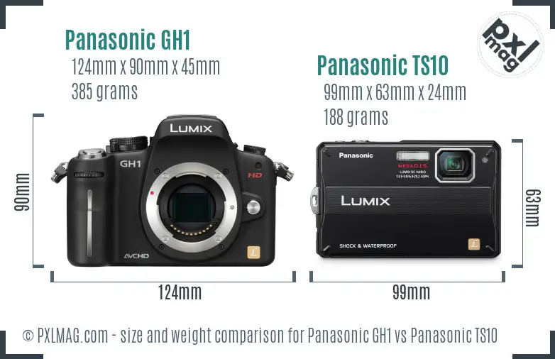 Panasonic GH1 vs Panasonic TS10 size comparison