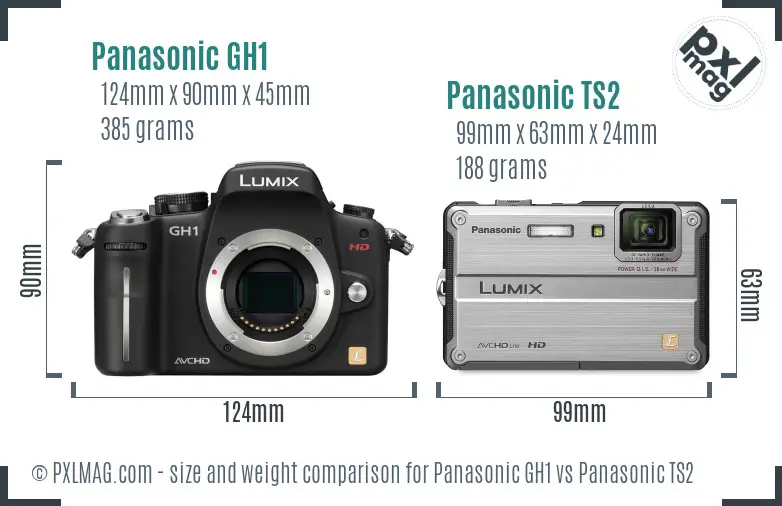 Panasonic GH1 vs Panasonic TS2 size comparison
