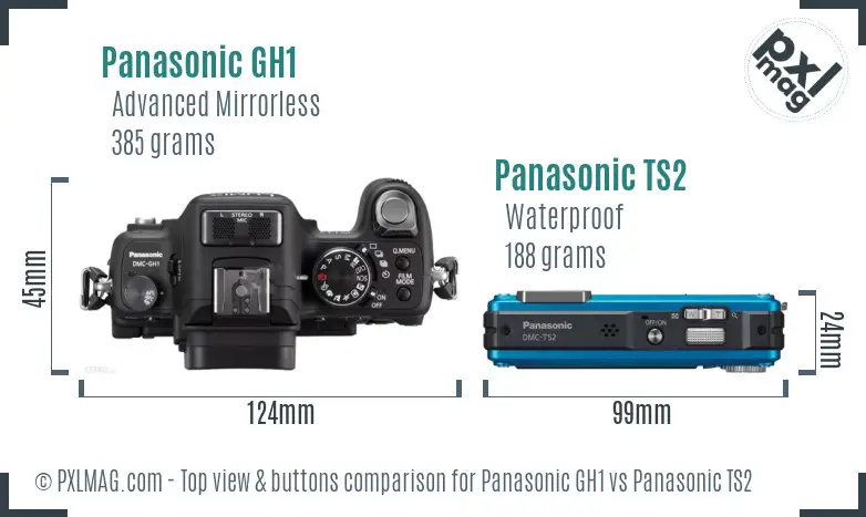 Panasonic GH1 vs Panasonic TS2 top view buttons comparison