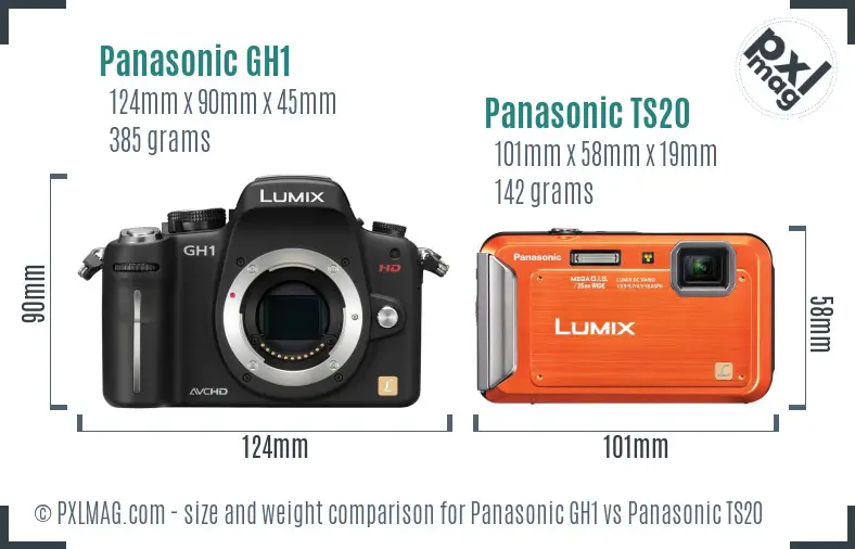 Panasonic GH1 vs Panasonic TS20 size comparison