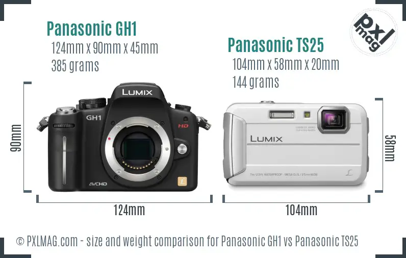 Panasonic GH1 vs Panasonic TS25 size comparison