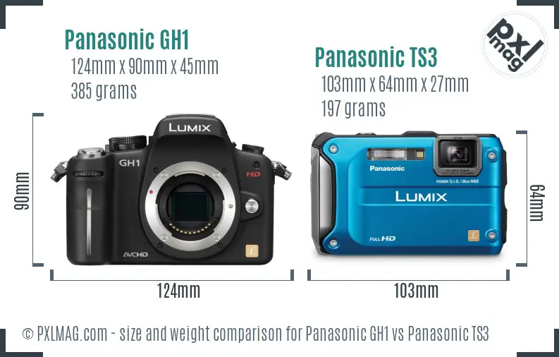 Panasonic GH1 vs Panasonic TS3 size comparison