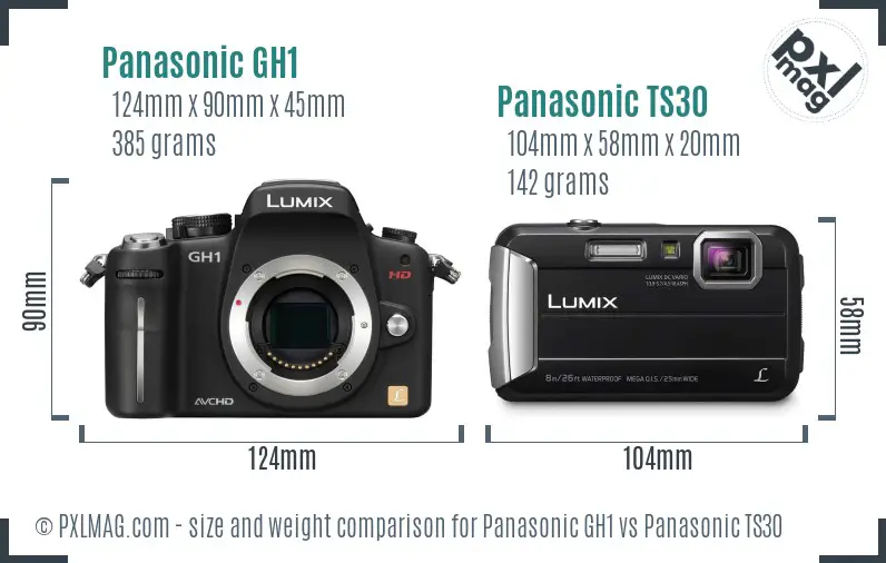 Panasonic GH1 vs Panasonic TS30 size comparison