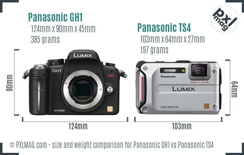Panasonic GH1 vs Panasonic TS4 size comparison