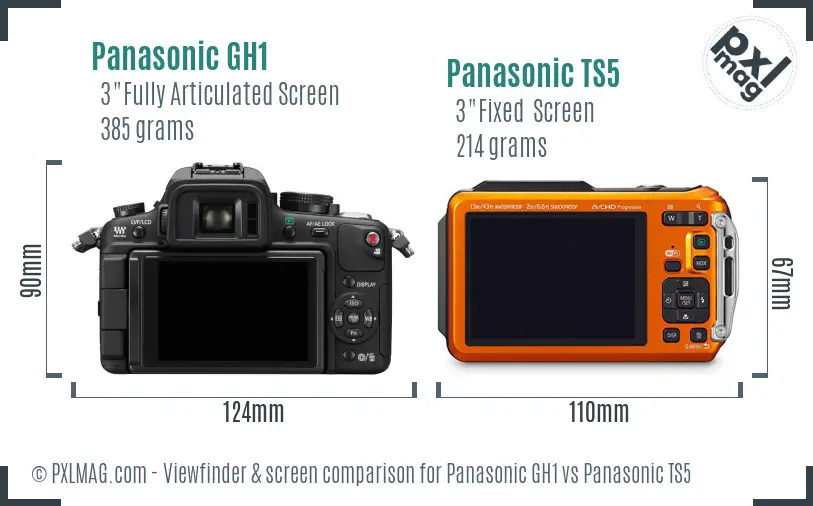 Panasonic GH1 vs Panasonic TS5 Screen and Viewfinder comparison