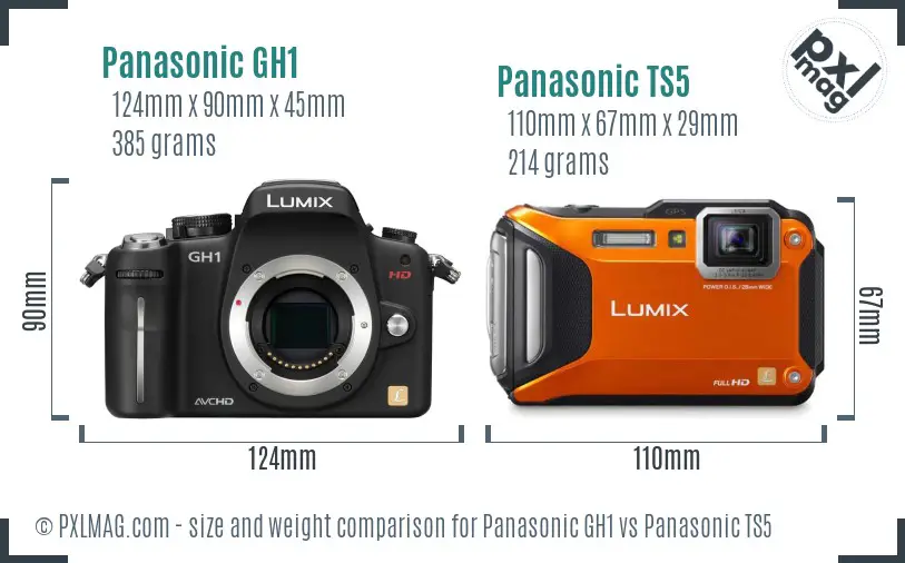 Panasonic GH1 vs Panasonic TS5 size comparison