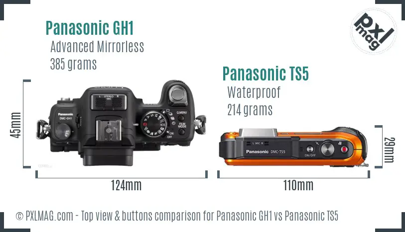 Panasonic GH1 vs Panasonic TS5 top view buttons comparison