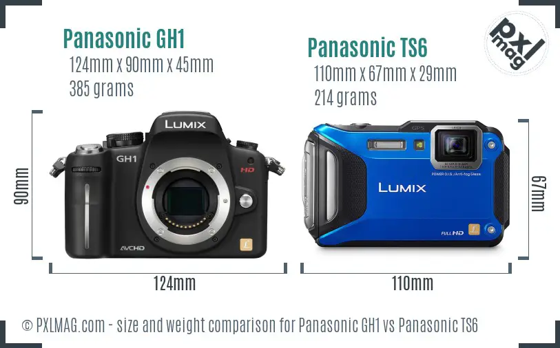 Panasonic GH1 vs Panasonic TS6 size comparison
