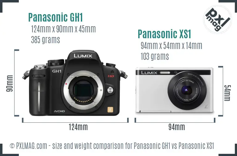Panasonic GH1 vs Panasonic XS1 size comparison