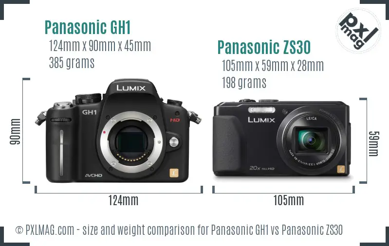 Panasonic GH1 vs Panasonic ZS30 size comparison