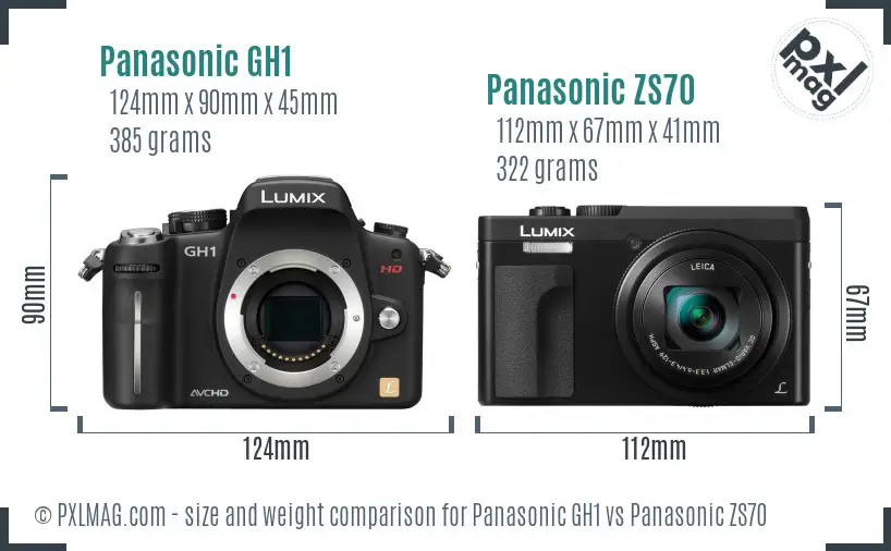 Panasonic GH1 vs Panasonic ZS70 size comparison