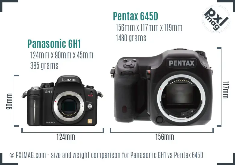 Panasonic GH1 vs Pentax 645D size comparison