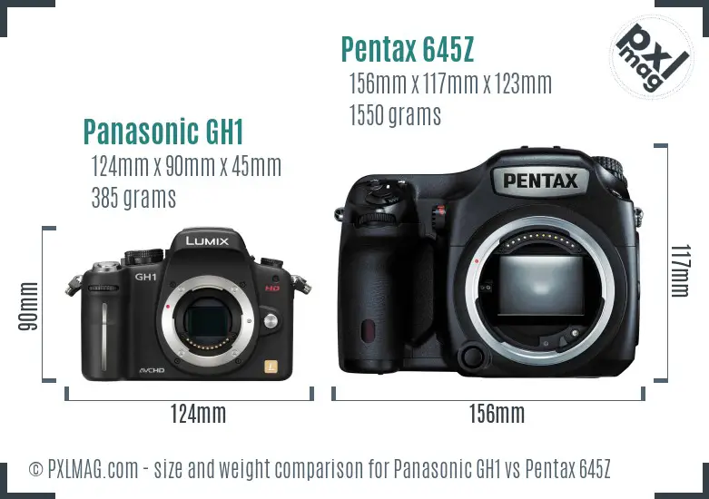 Panasonic GH1 vs Pentax 645Z size comparison