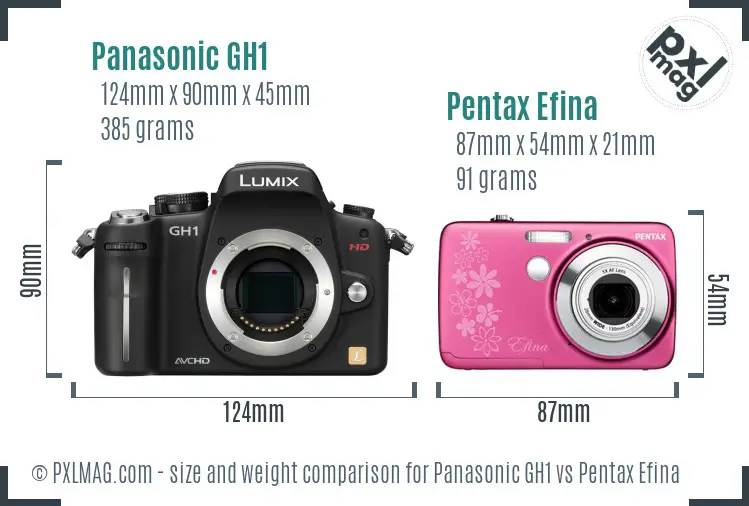 Panasonic GH1 vs Pentax Efina size comparison