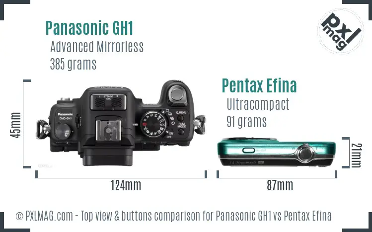 Panasonic GH1 vs Pentax Efina top view buttons comparison