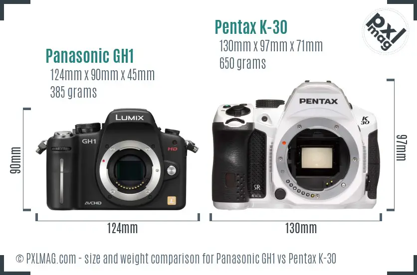 Panasonic GH1 vs Pentax K-30 size comparison