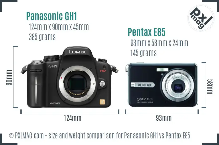 Panasonic GH1 vs Pentax E85 size comparison