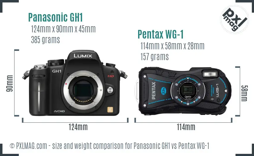 Panasonic GH1 vs Pentax WG-1 size comparison