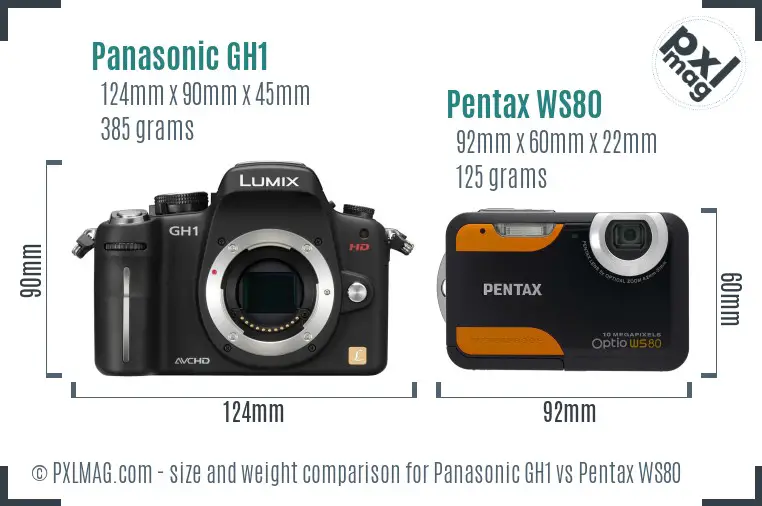 Panasonic GH1 vs Pentax WS80 size comparison