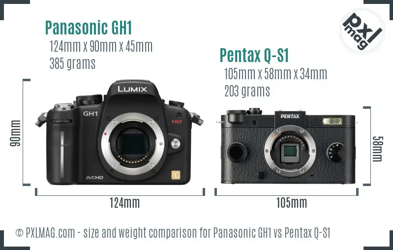 Panasonic GH1 vs Pentax Q-S1 size comparison