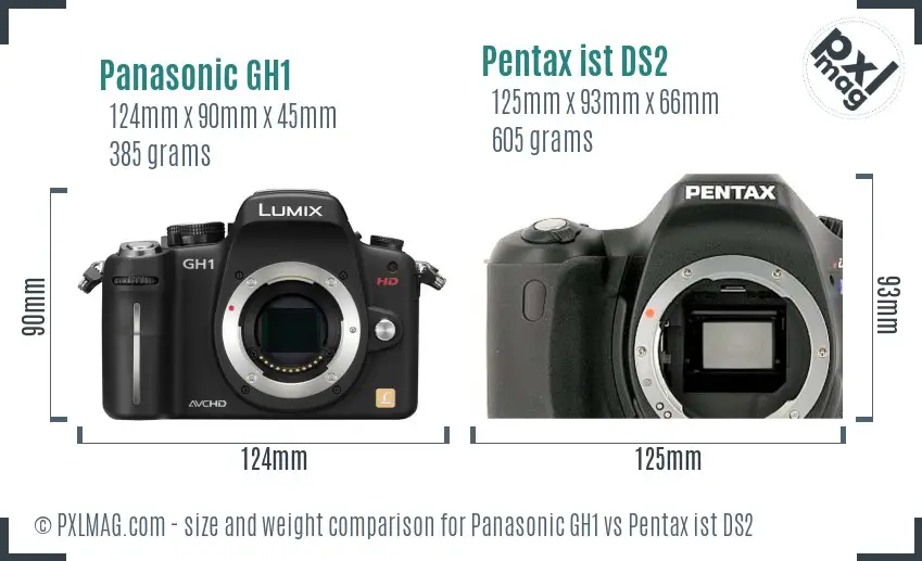 Panasonic GH1 vs Pentax ist DS2 size comparison