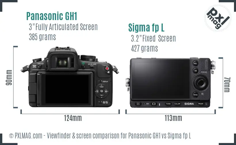 Panasonic GH1 vs Sigma fp L Screen and Viewfinder comparison