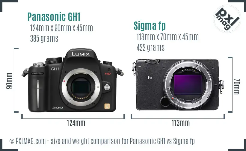 Panasonic GH1 vs Sigma fp size comparison