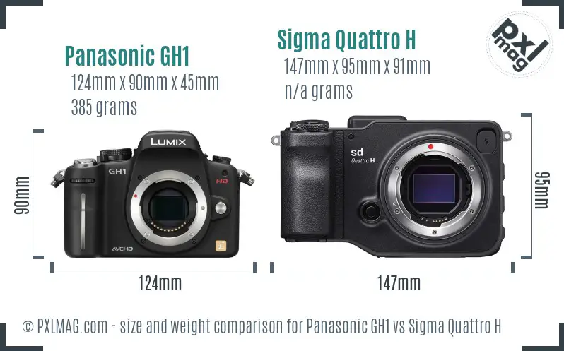 Panasonic GH1 vs Sigma Quattro H size comparison